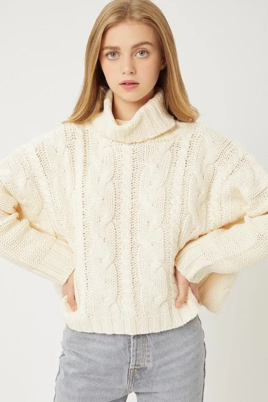 Cable Knit Turtleneck Sweater