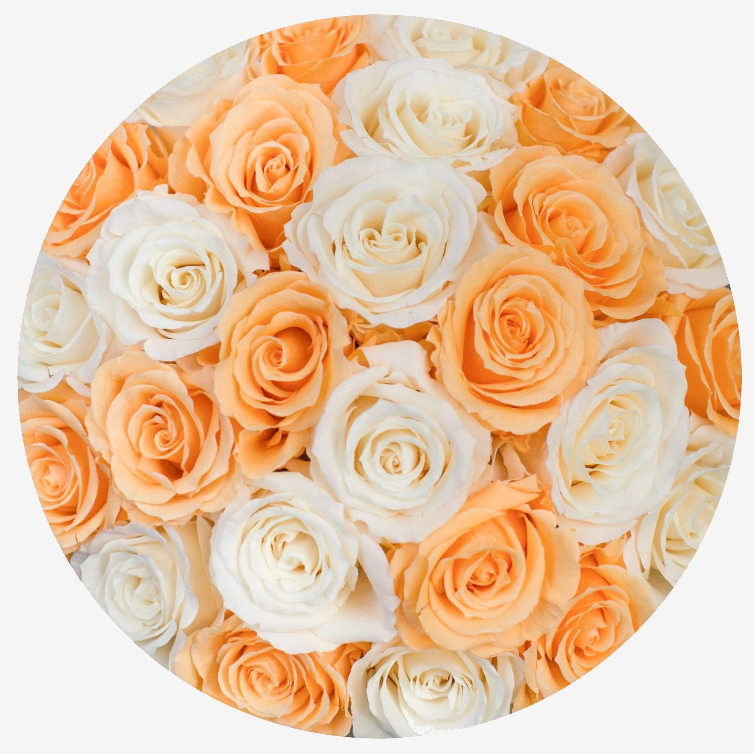Classic Hot Pink Suede Dome Box | Peach & Ivory Roses