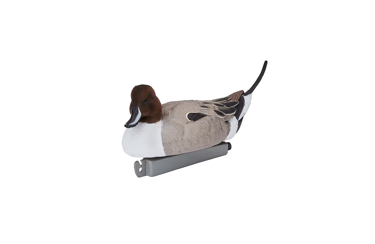 Flight Series Dabbler Pack