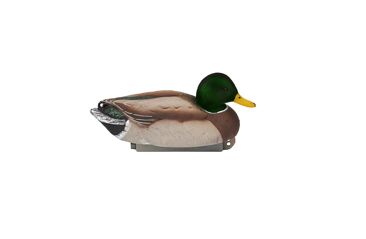 Flight Series Dabbler Pack