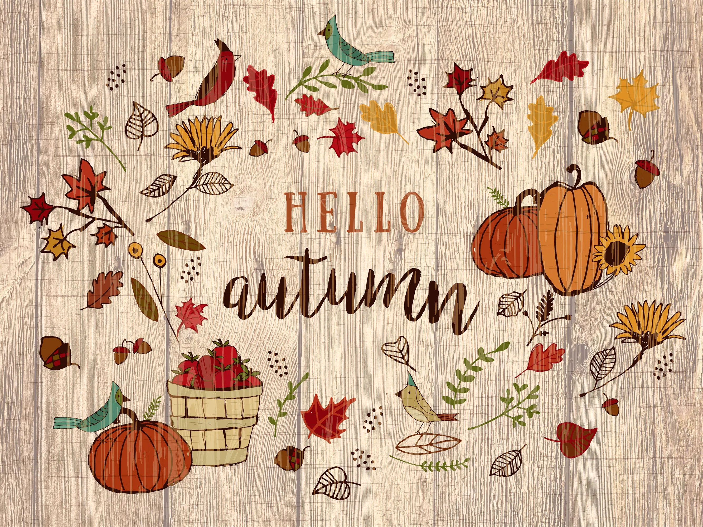 Hello Autumn Panel | Thanks Living