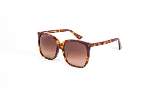 Sunglasses | FLANEUR | Turtle